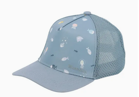 Pet Vissen kind | Kwolly