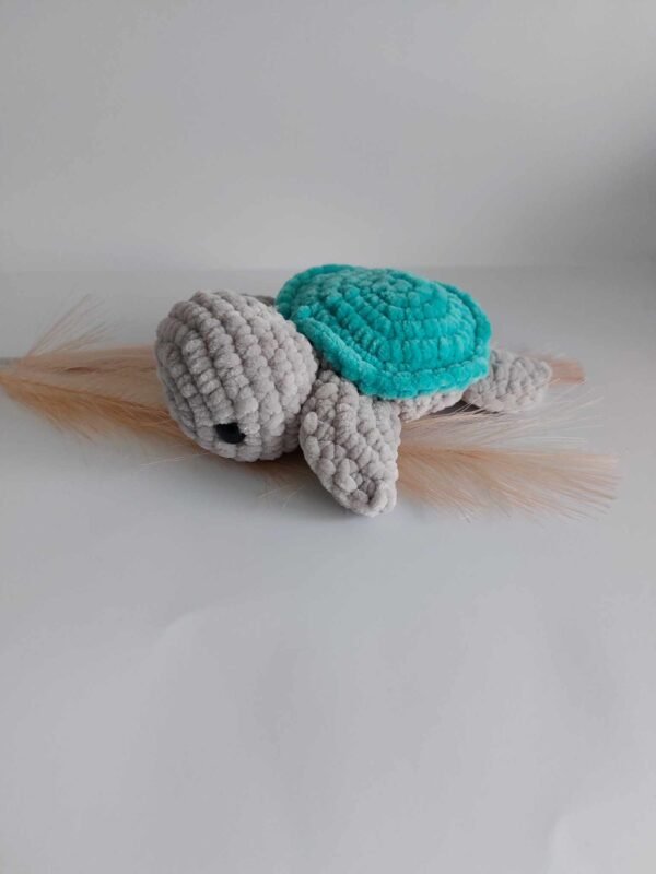 Schildpad - Afbeelding 4