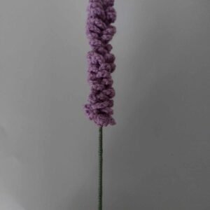 Lavendel