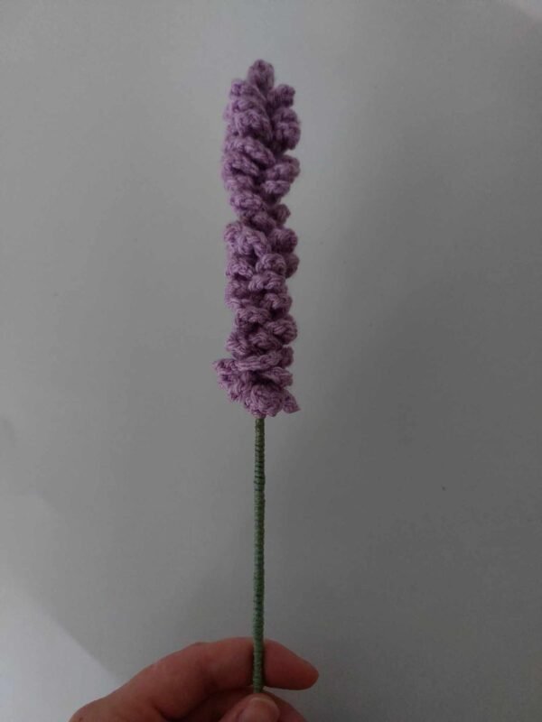 Lavendel